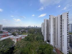Blk 158 Yung Loh Road (Jurong West), HDB 5 Rooms #533887441